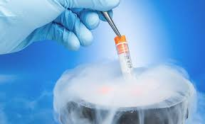 When Should You Consider Embryo Freezing in South Carolina