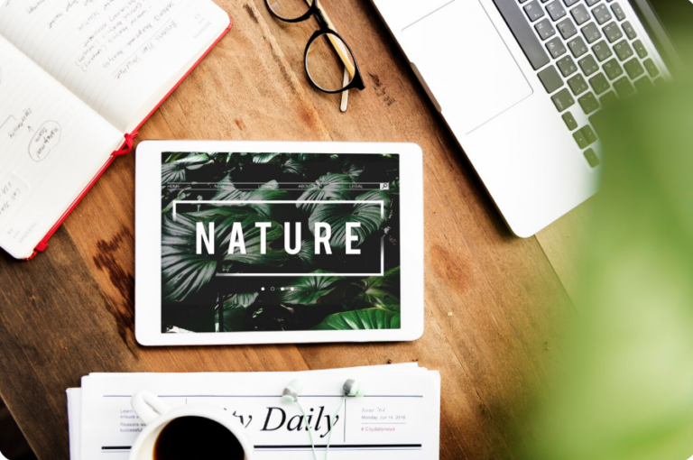 Environmental Branding: Why Physical Spaces Are Your Best Ad